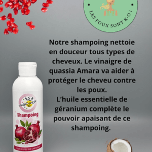 shampoing anti-poux